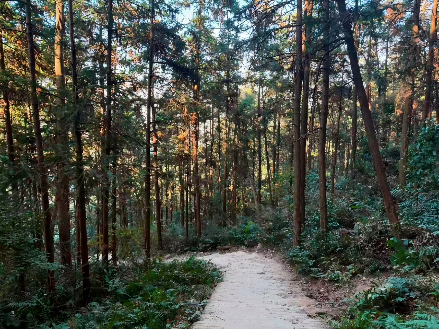 20251208215712_139_4.jpg 20251208215712_139_4.jpg