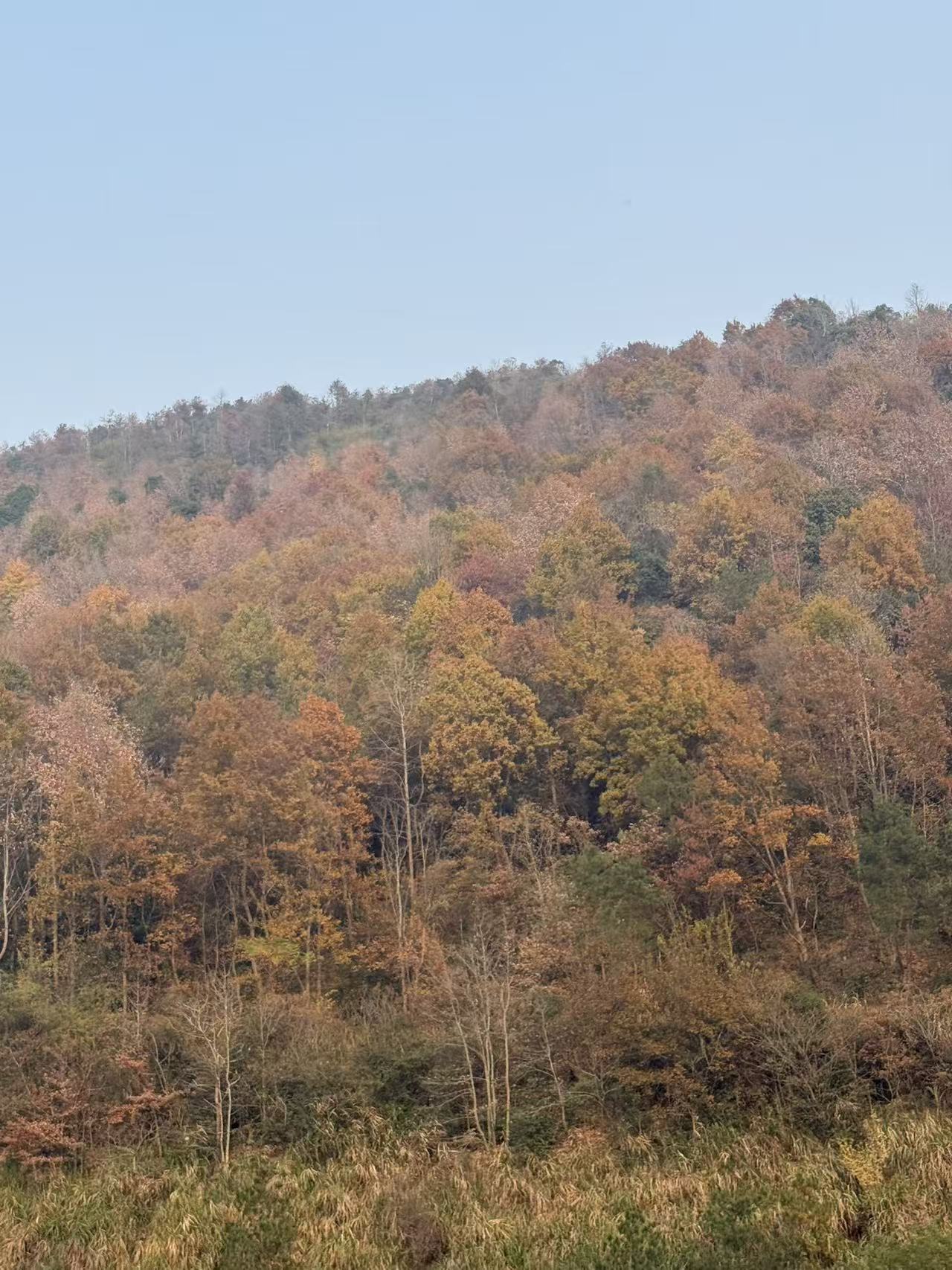 20251208215727_155_4.jpg 20251208215727_155_4.jpg